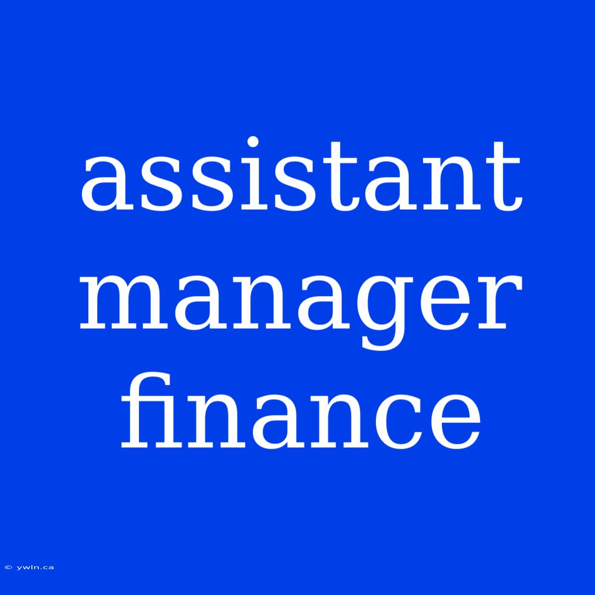 Assistant Manager Finance