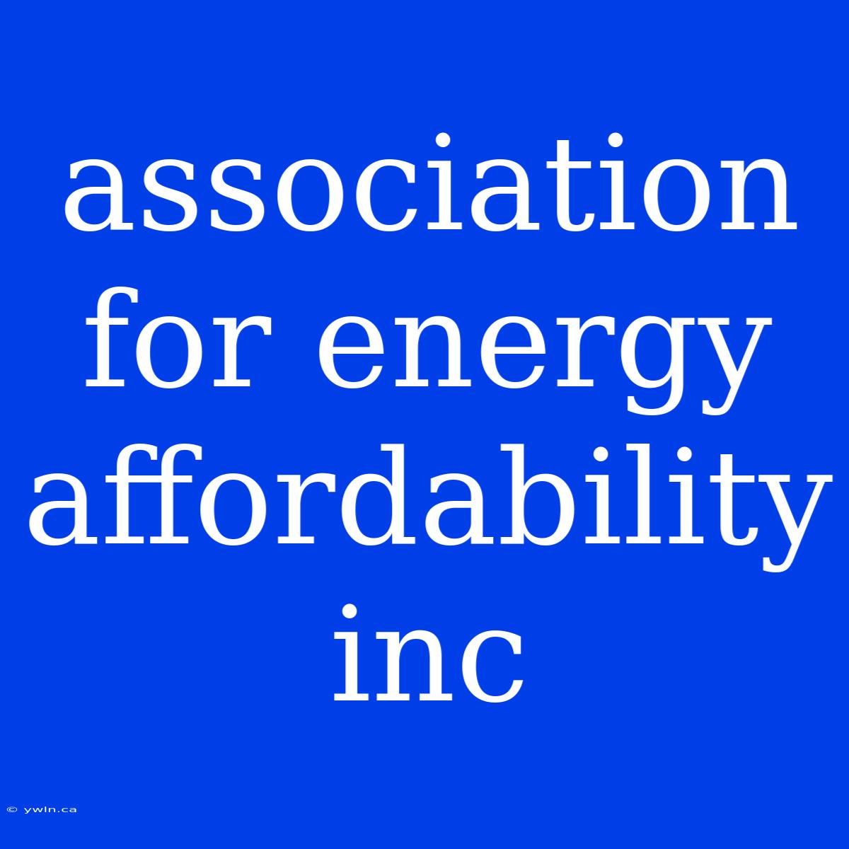 Association For Energy Affordability Inc