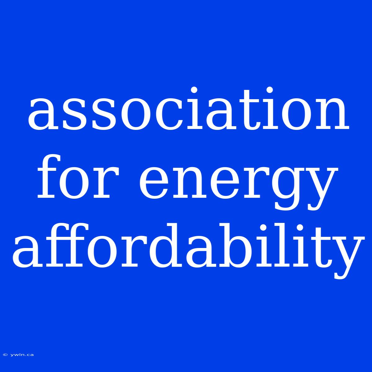 Association For Energy Affordability