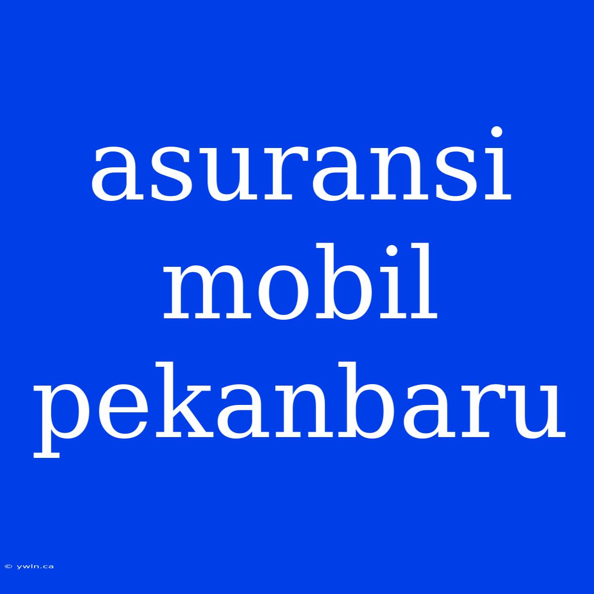 Asuransi Mobil Pekanbaru