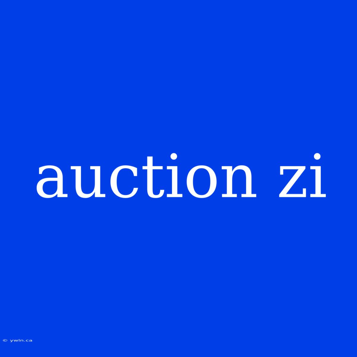 Auction Zi