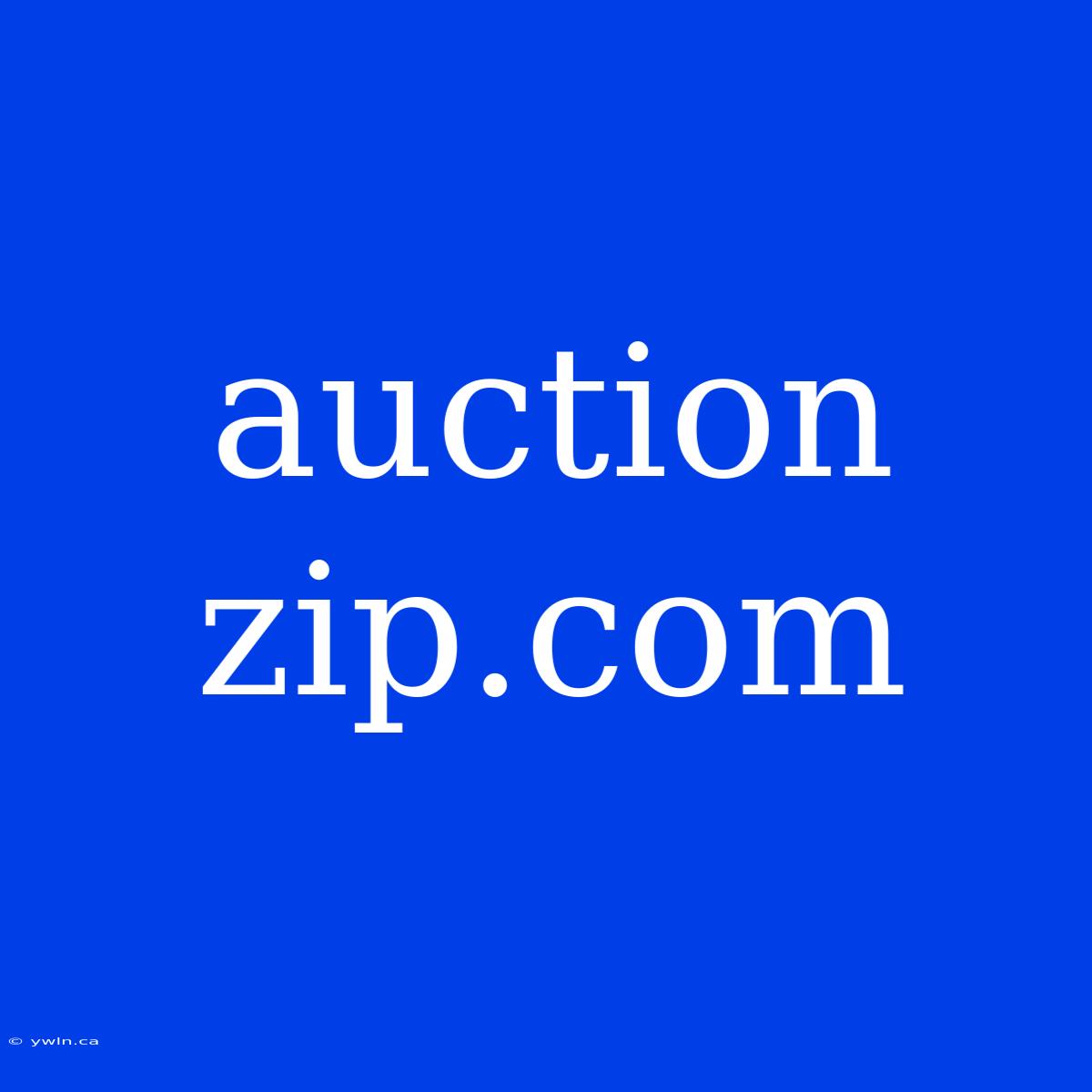 Auction Zip.com