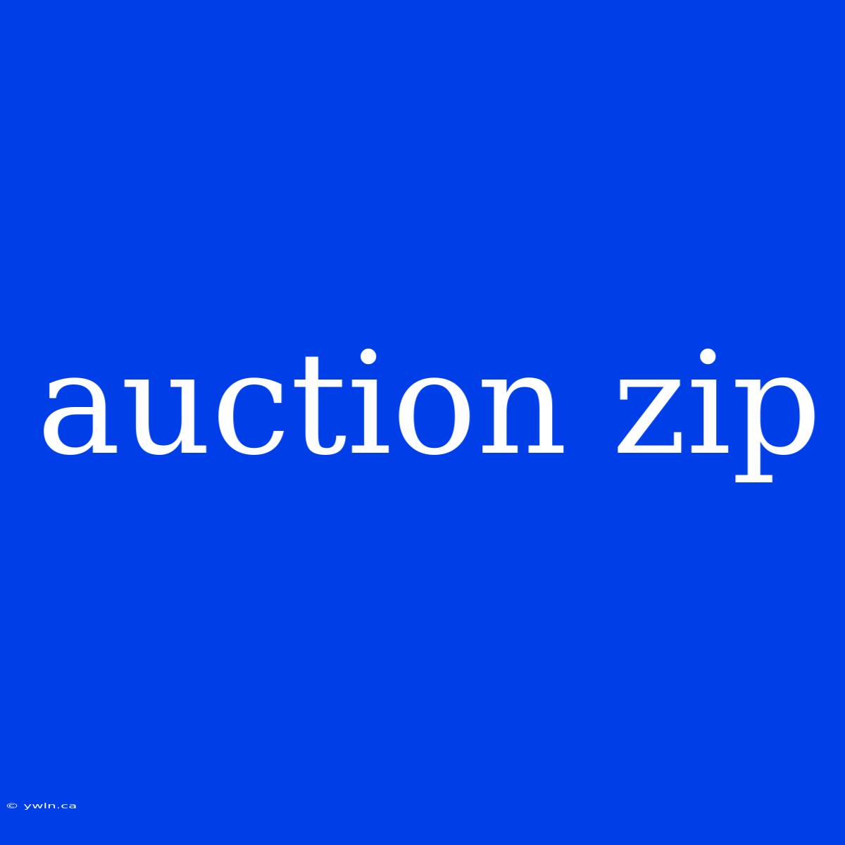 Auction Zip