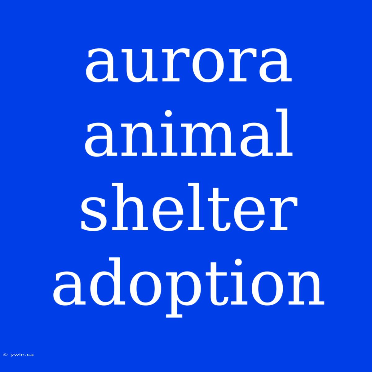 Aurora Animal Shelter Adoption