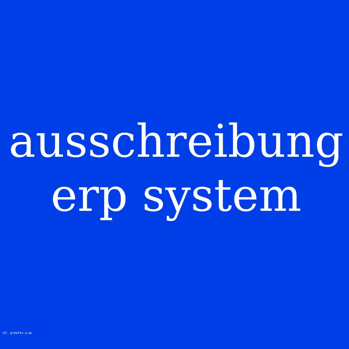 Ausschreibung Erp System