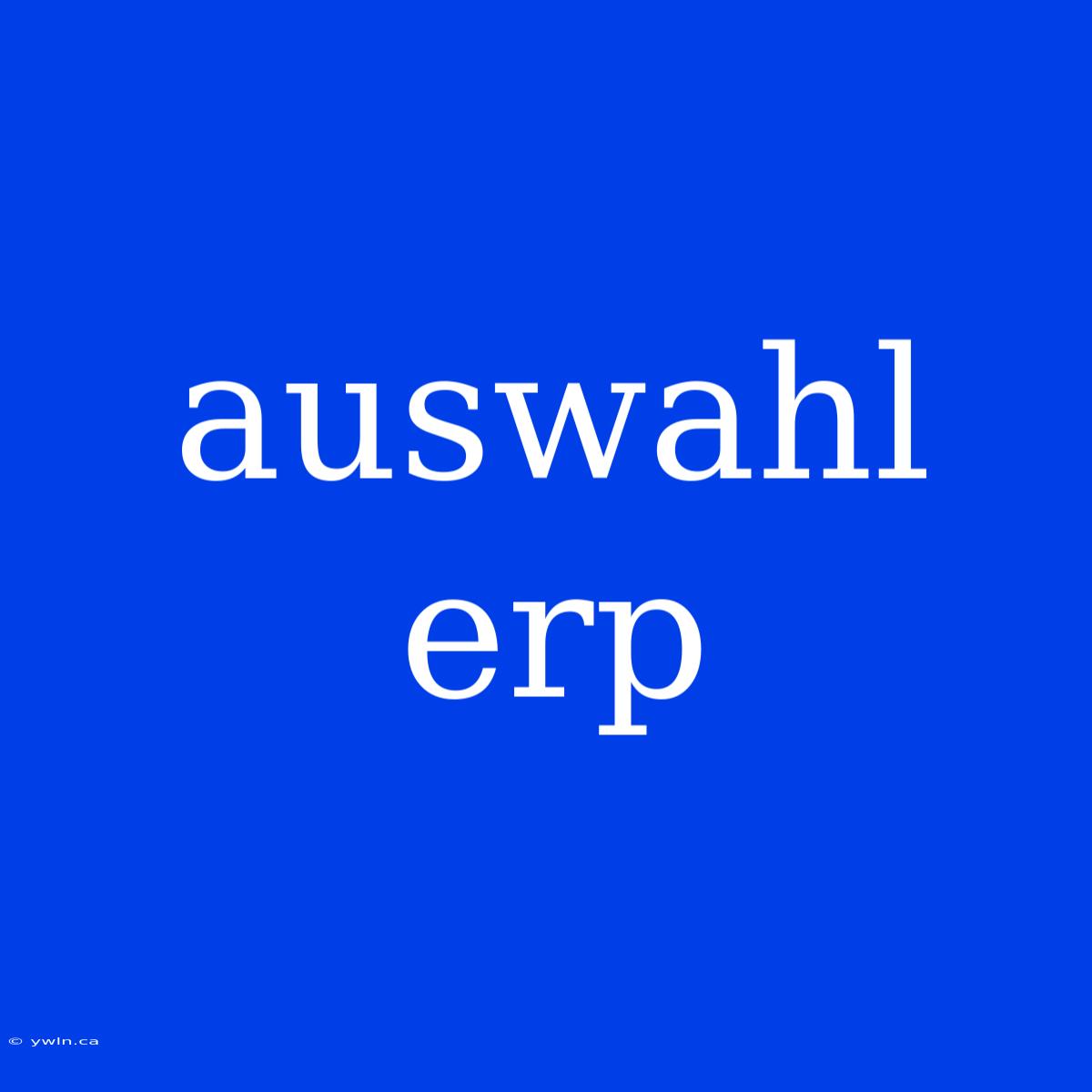 Auswahl Erp