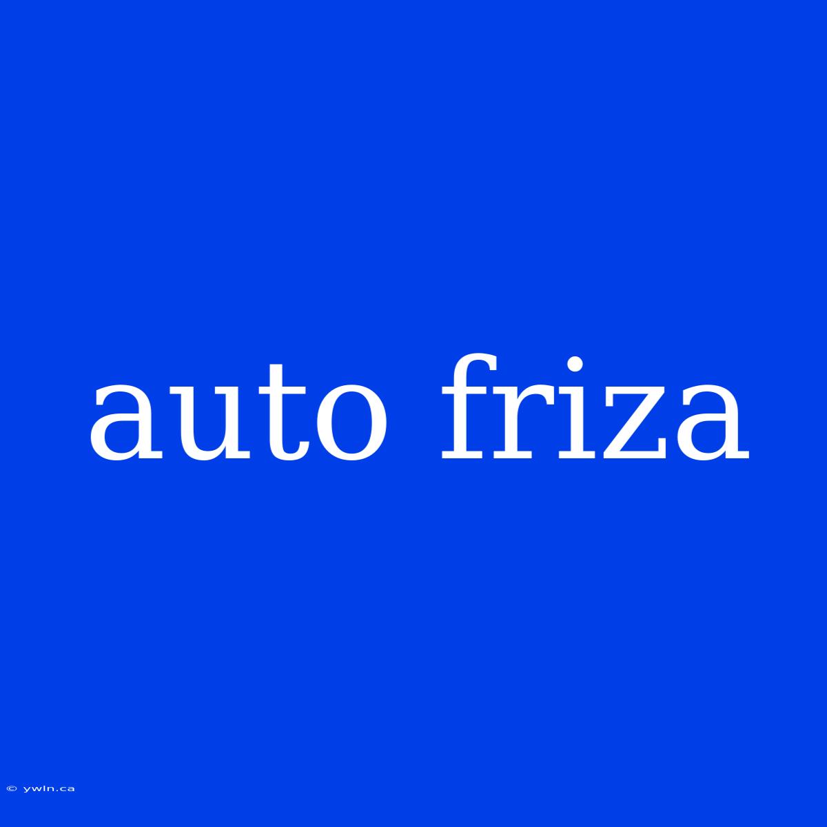 Auto Friza