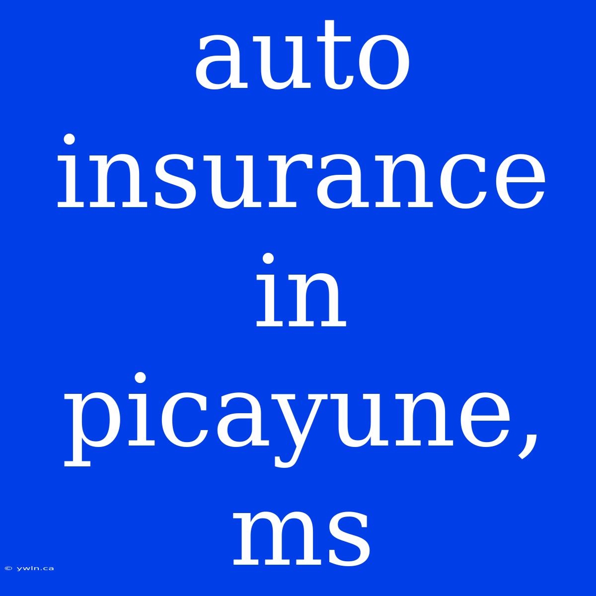 Auto Insurance In Picayune, Ms