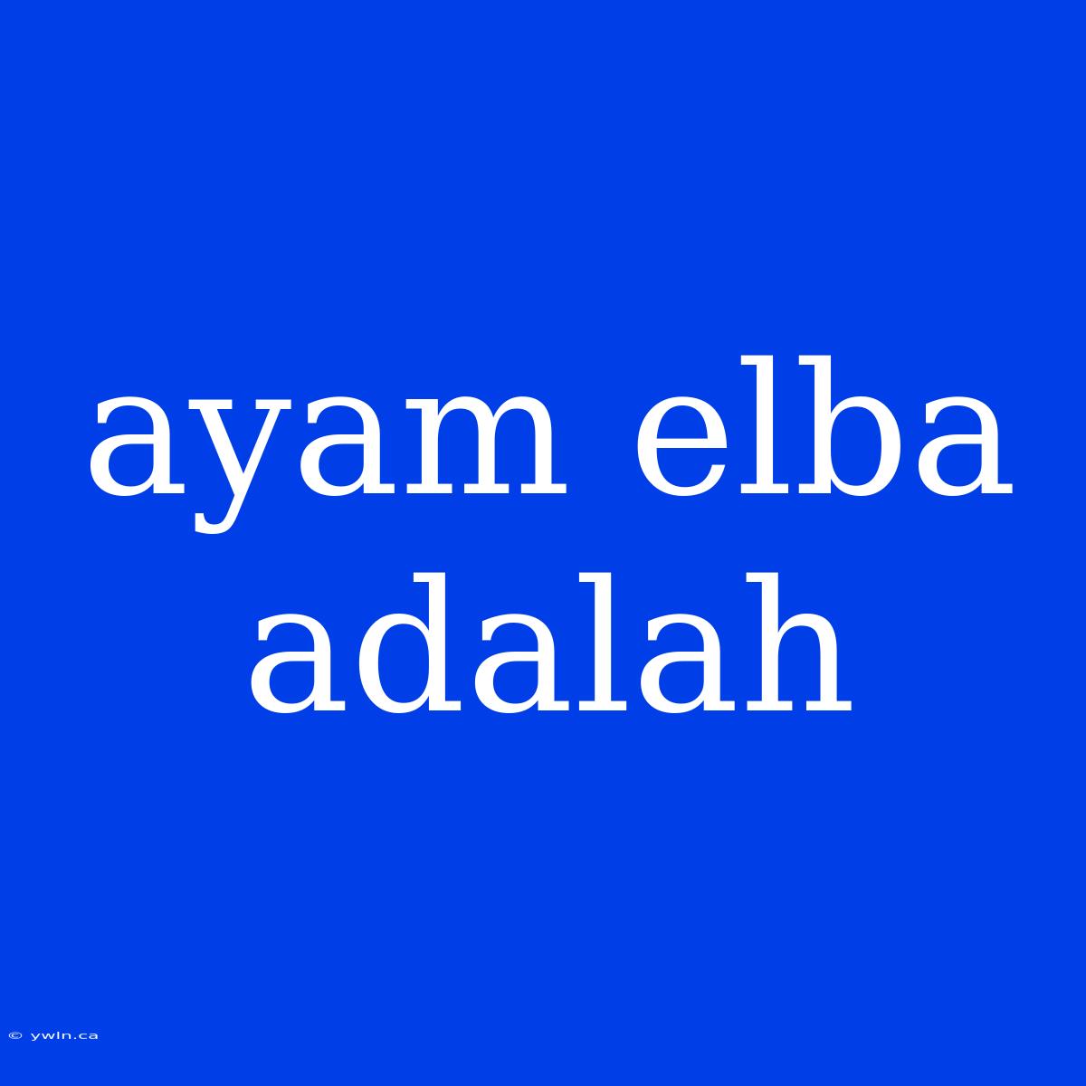 Ayam Elba Adalah