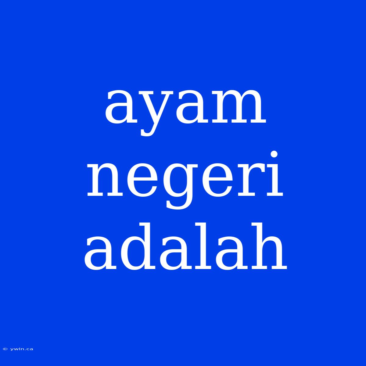 Ayam Negeri Adalah