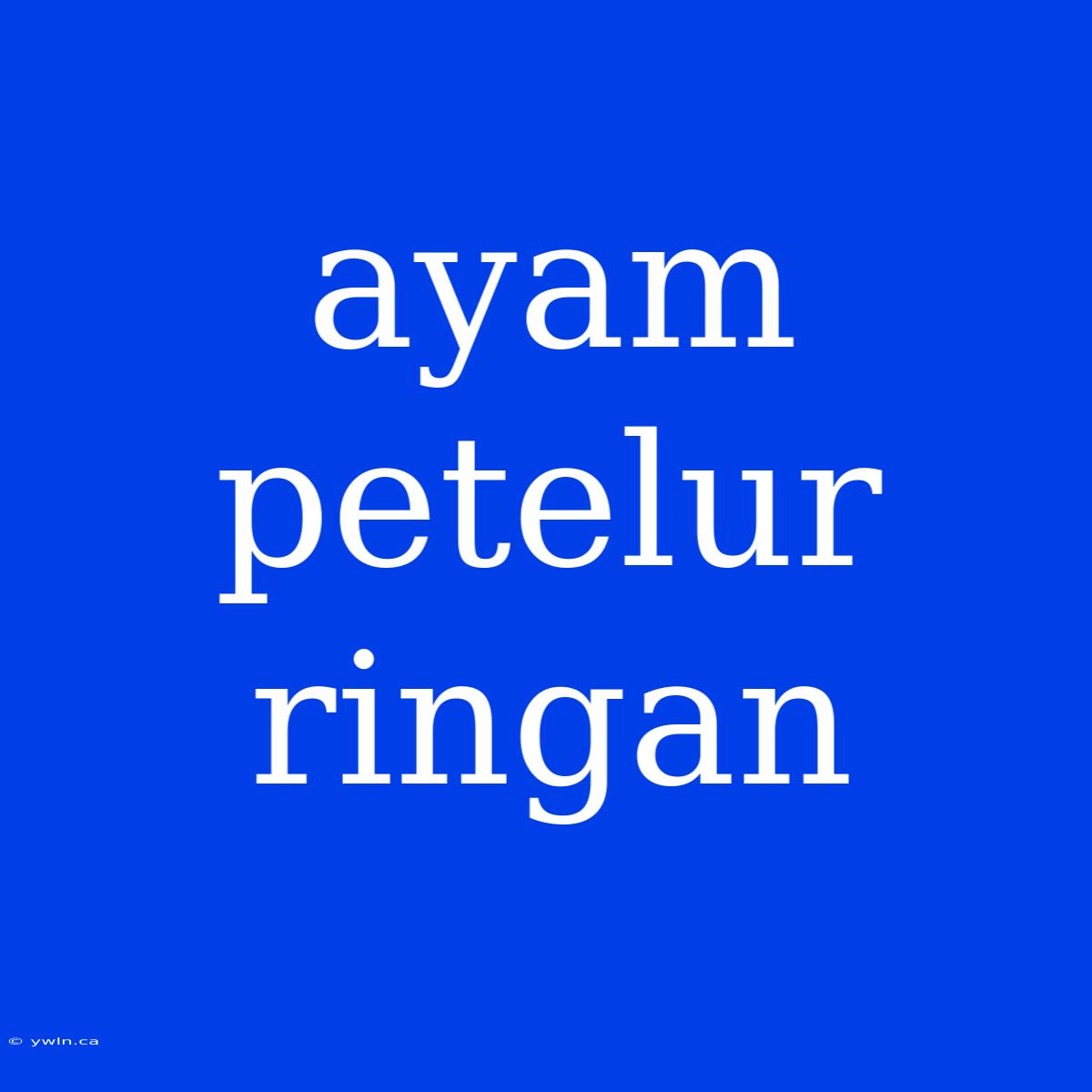 Ayam Petelur Ringan