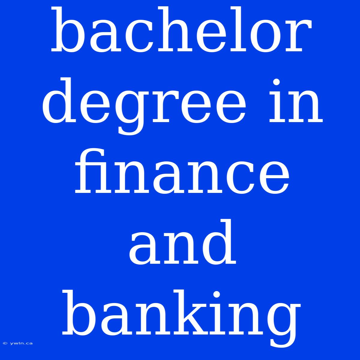 Bachelor Degree In Finance And Banking