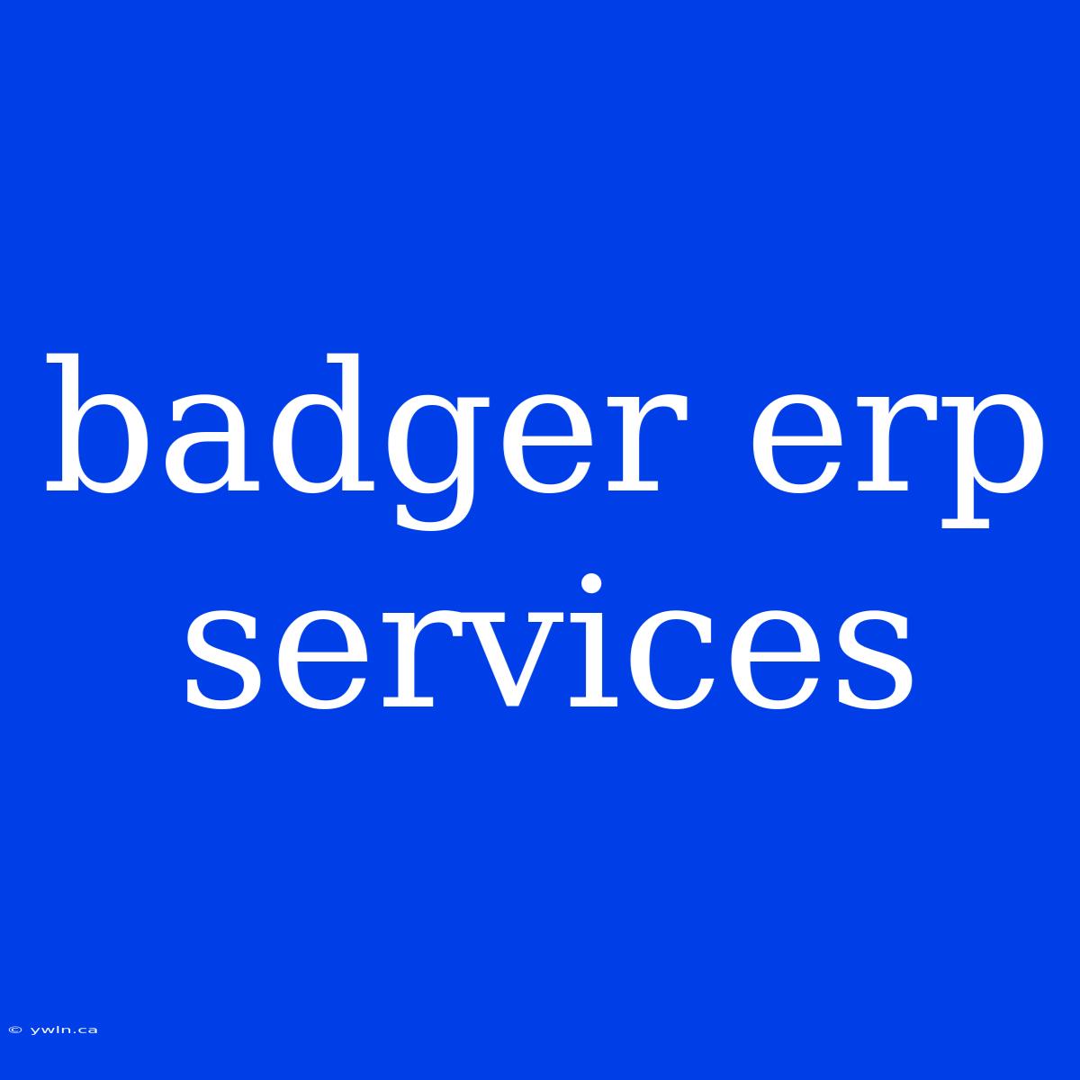 Badger Erp Services