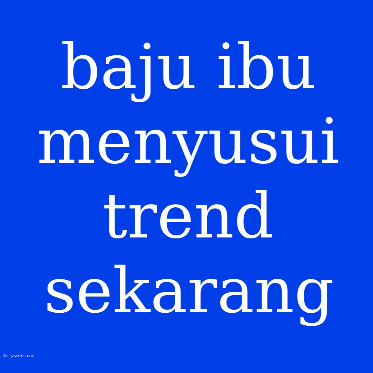 Baju Ibu Menyusui Trend Sekarang