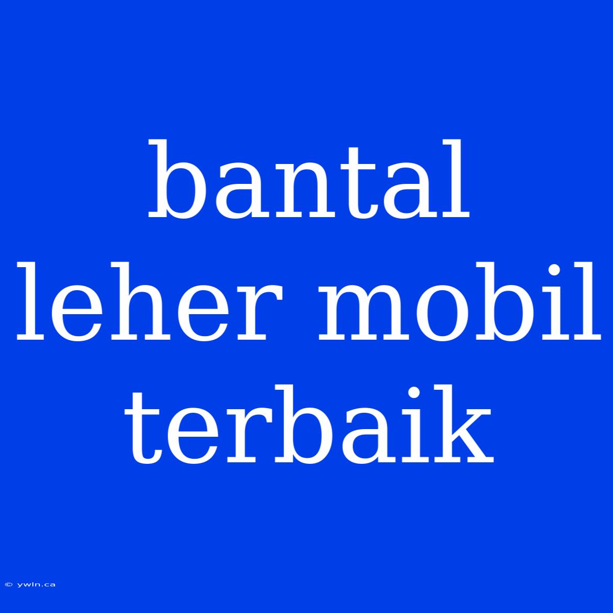 Bantal Leher Mobil Terbaik