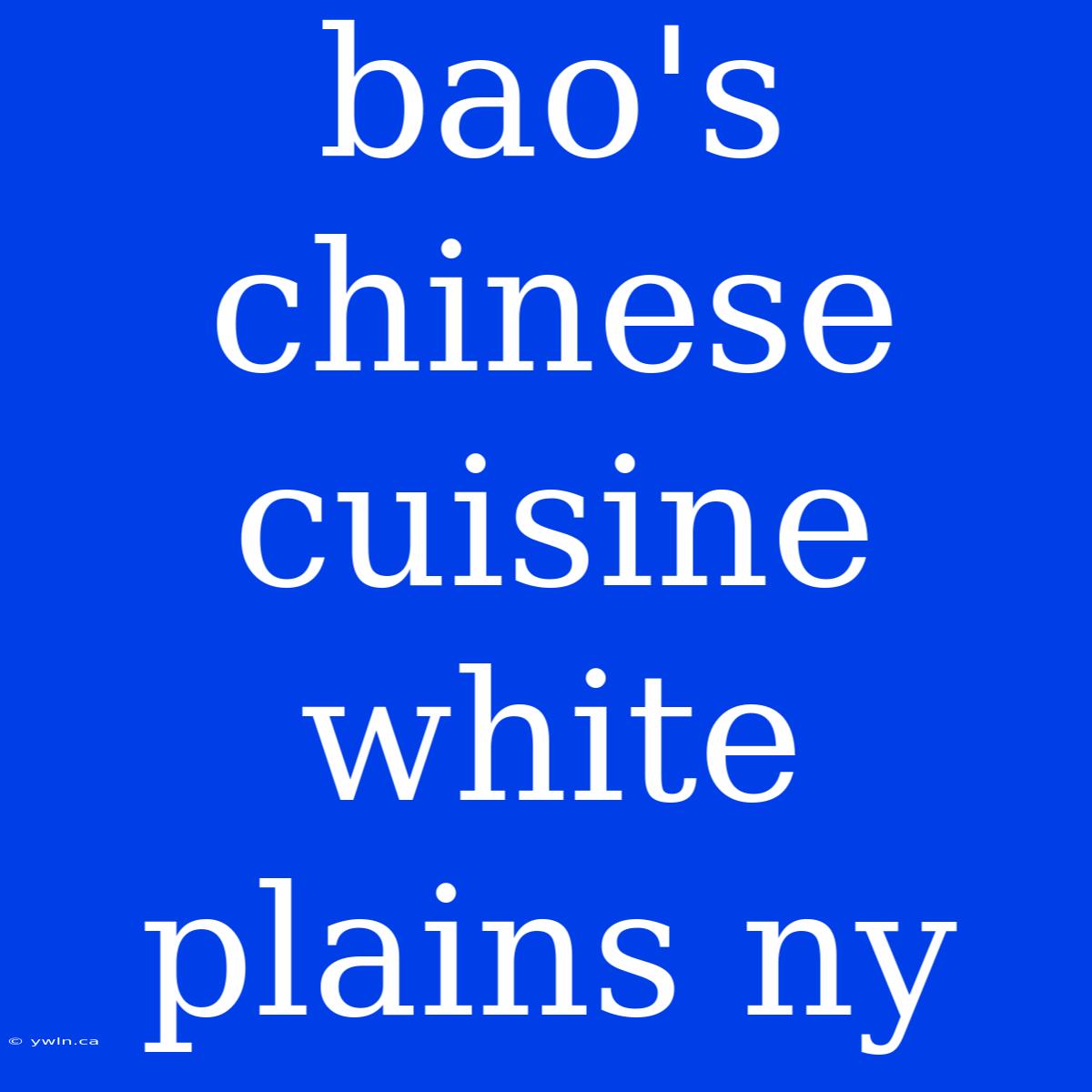 Bao's Chinese Cuisine White Plains Ny