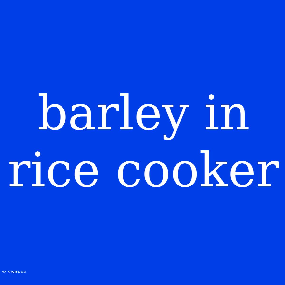 Barley In Rice Cooker