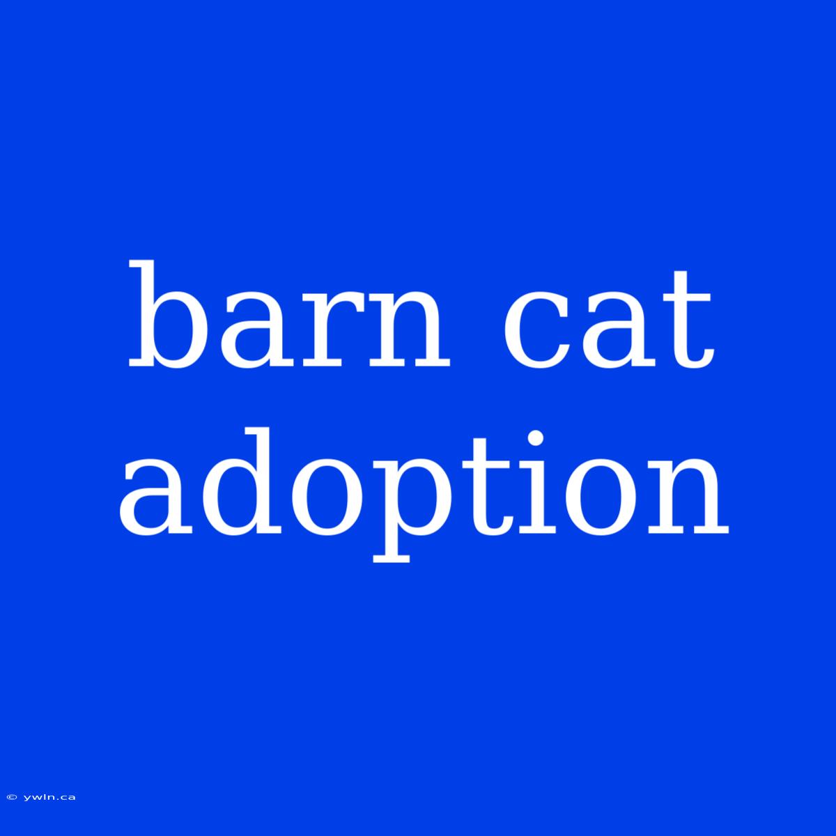 Barn Cat Adoption