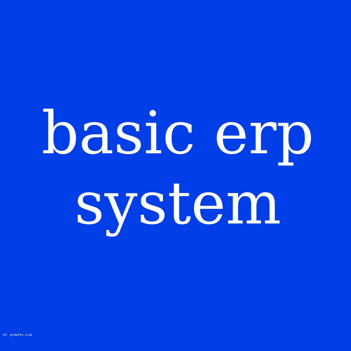 Basic Erp System