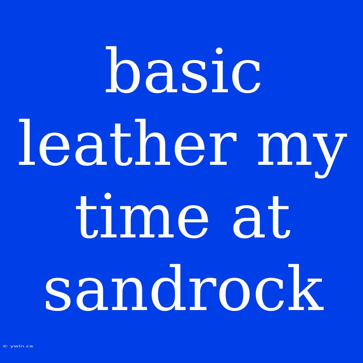 Basic Leather My Time At Sandrock