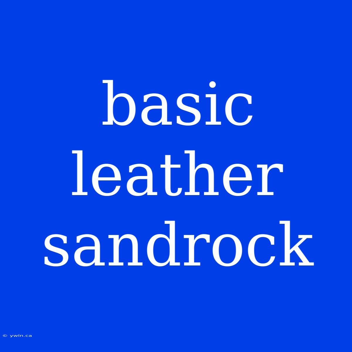 Basic Leather Sandrock