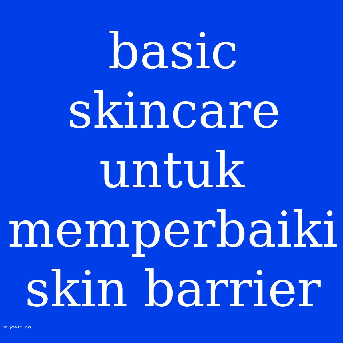 Basic Skincare Untuk Memperbaiki Skin Barrier