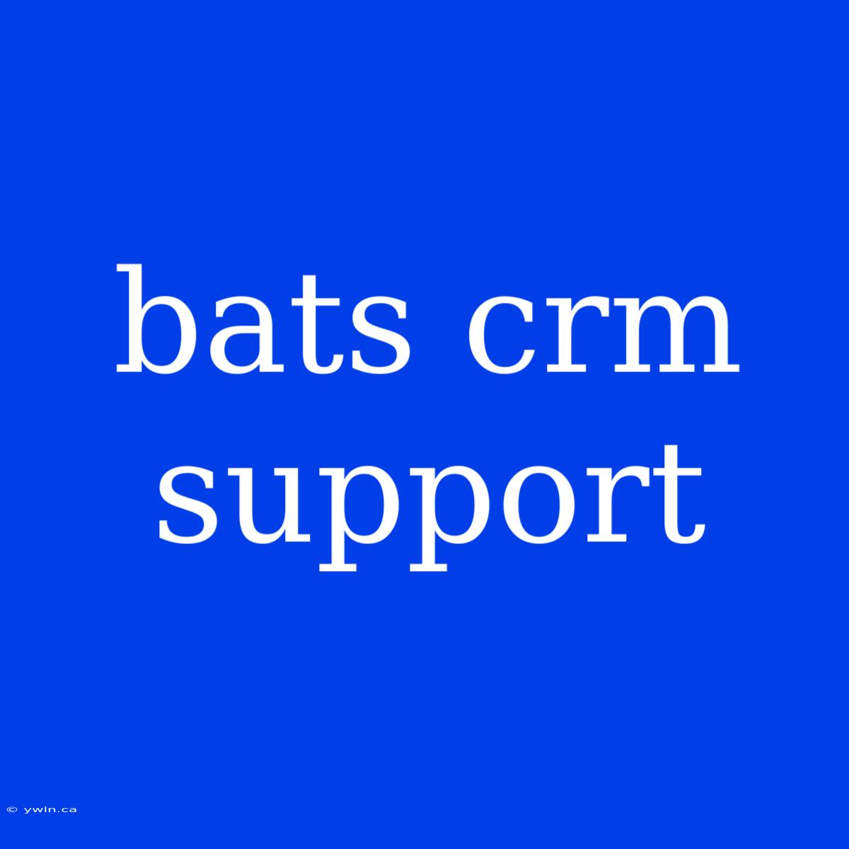 Bats Crm Support