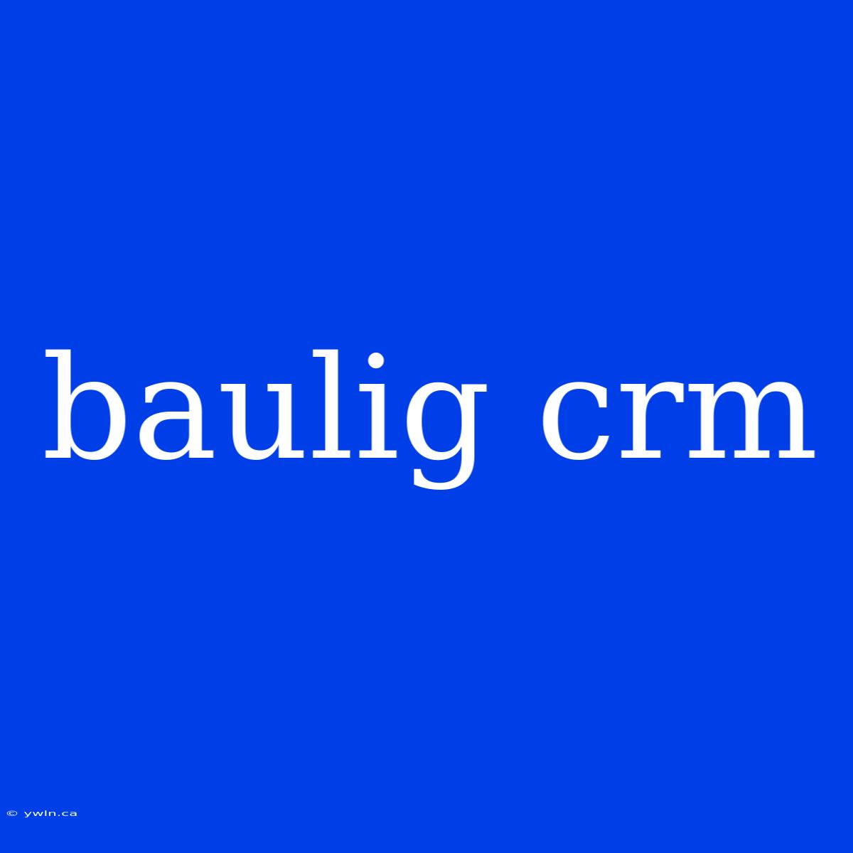 Baulig Crm