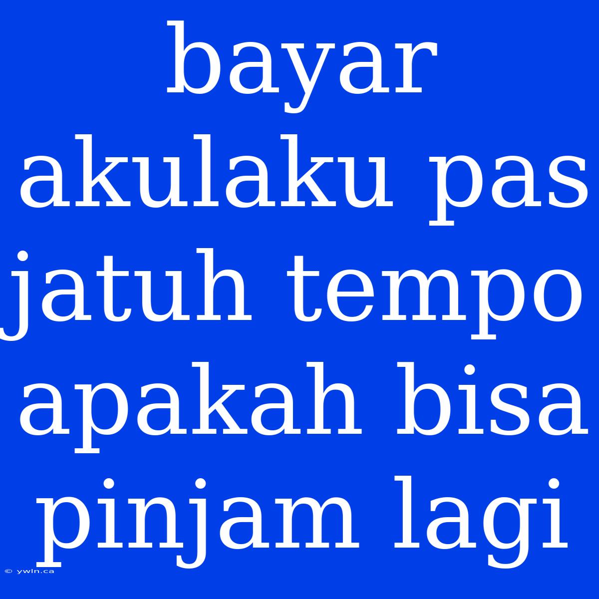 Bayar Akulaku Pas Jatuh Tempo Apakah Bisa Pinjam Lagi