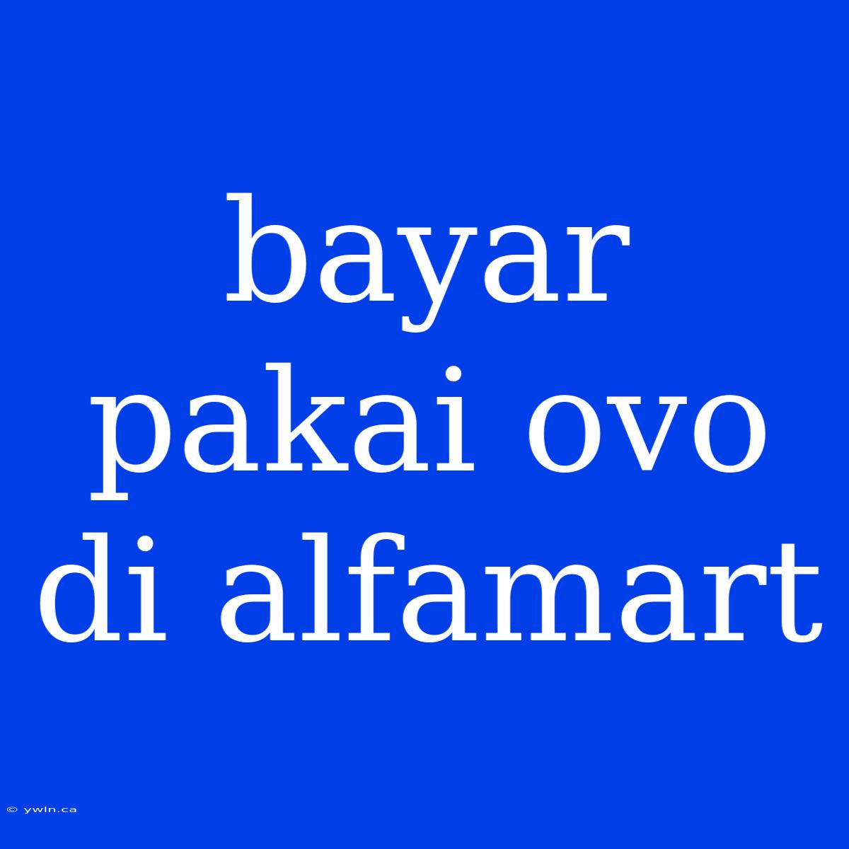 Bayar Pakai Ovo Di Alfamart