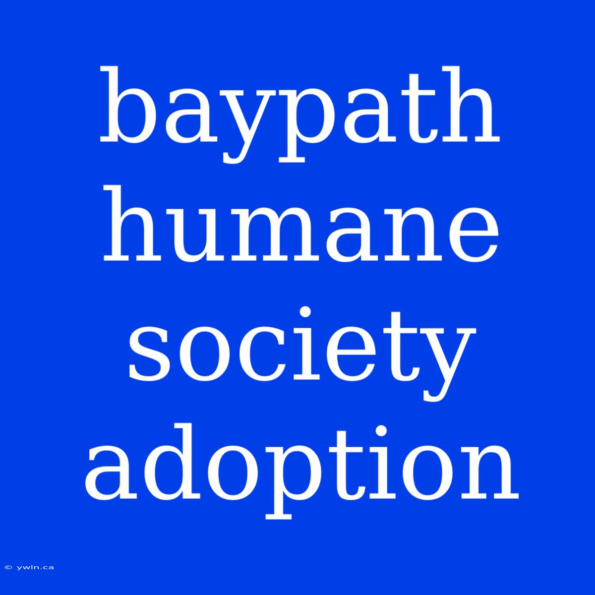 Baypath Humane Society Adoption