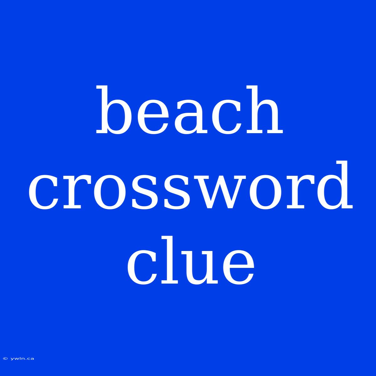 Beach Crossword Clue