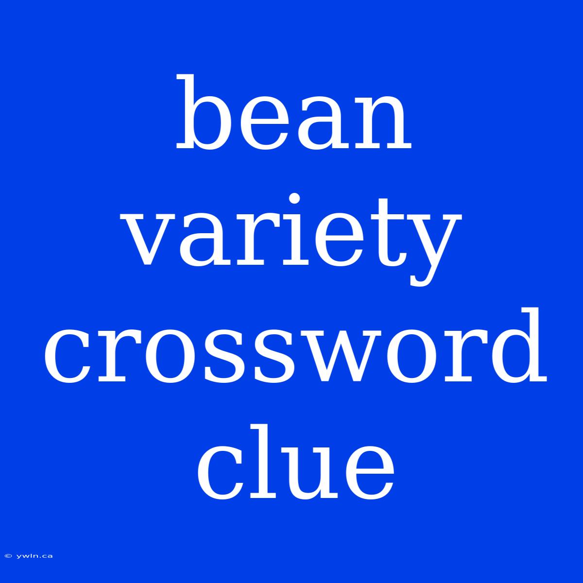 Bean Variety Crossword Clue