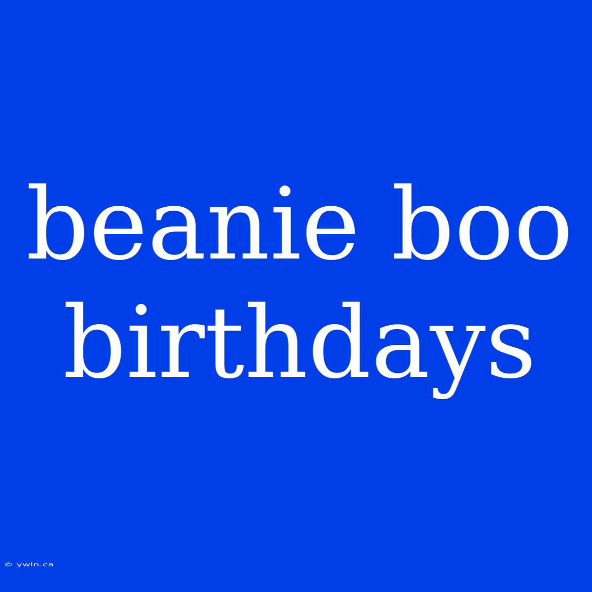 Beanie Boo Birthdays