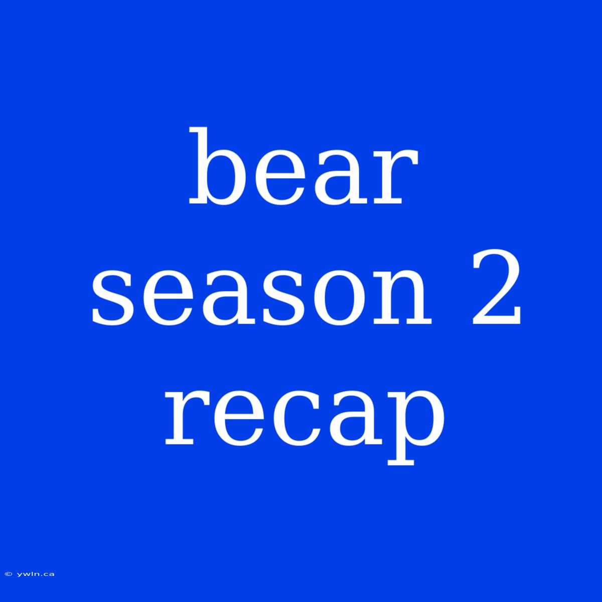 Bear Season 2 Recap