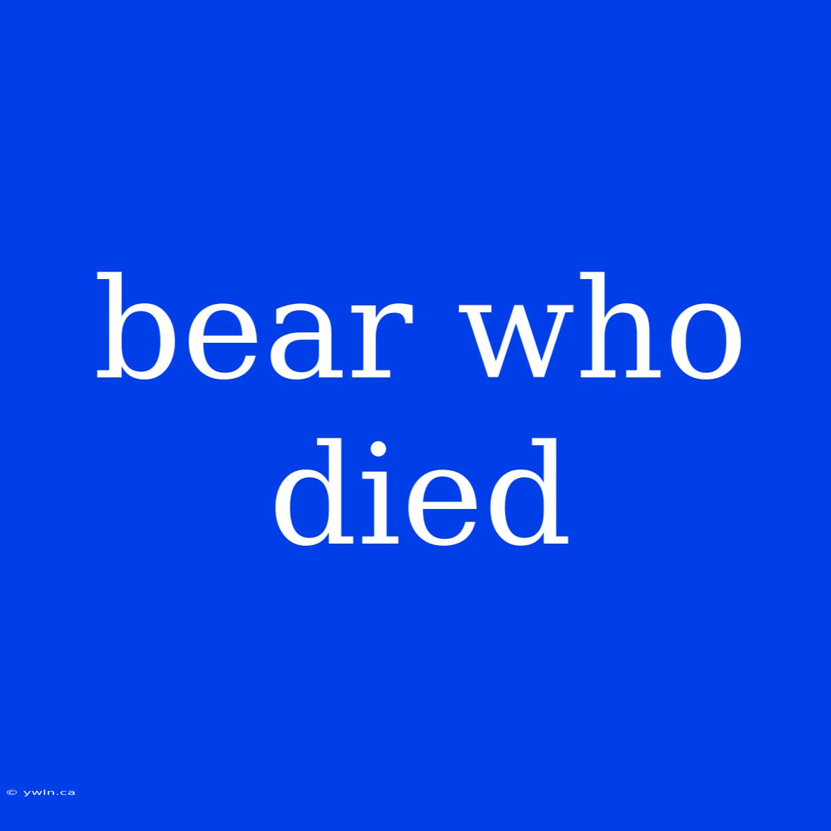 Bear Who Died