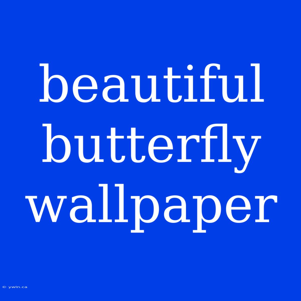 Beautiful Butterfly Wallpaper