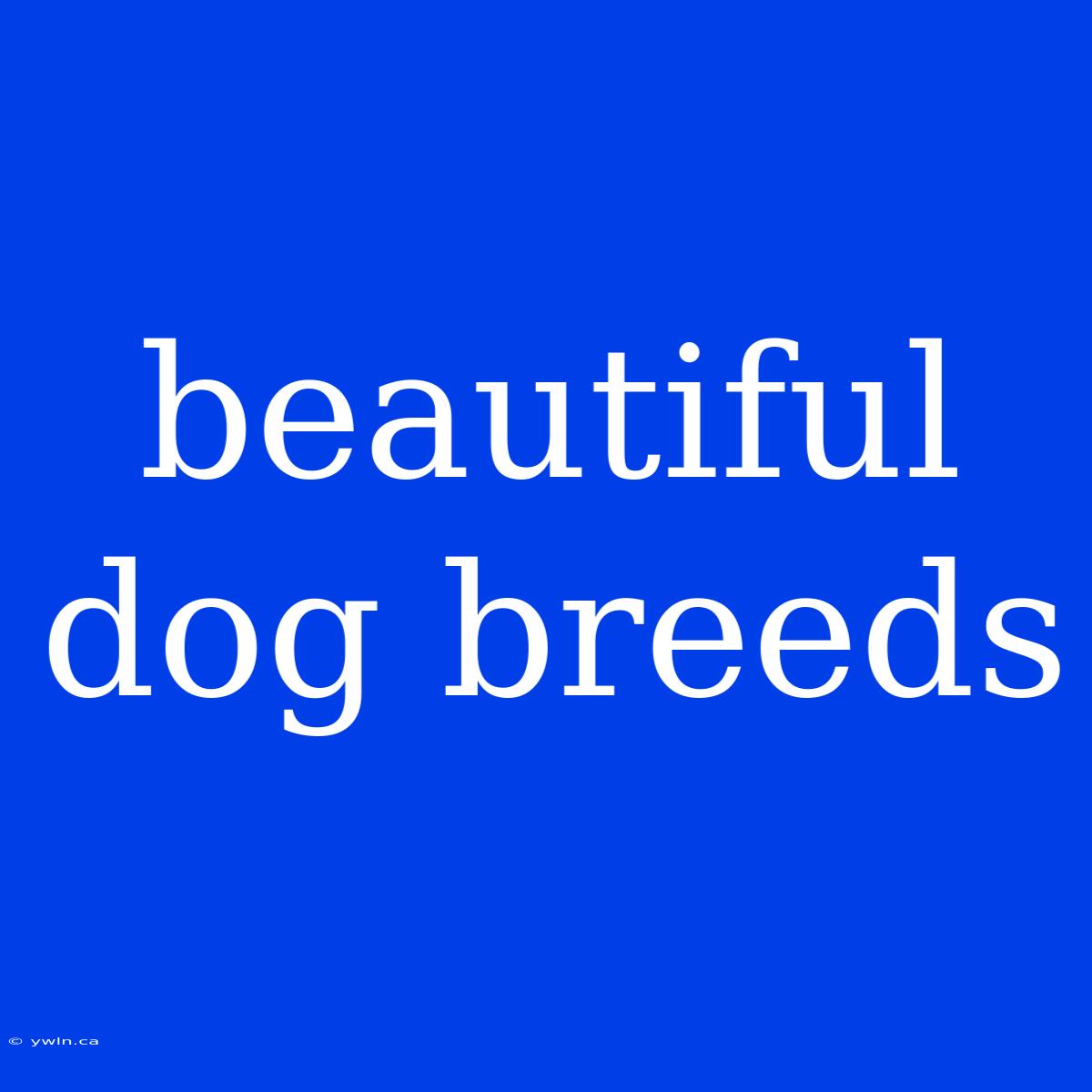 Beautiful Dog Breeds