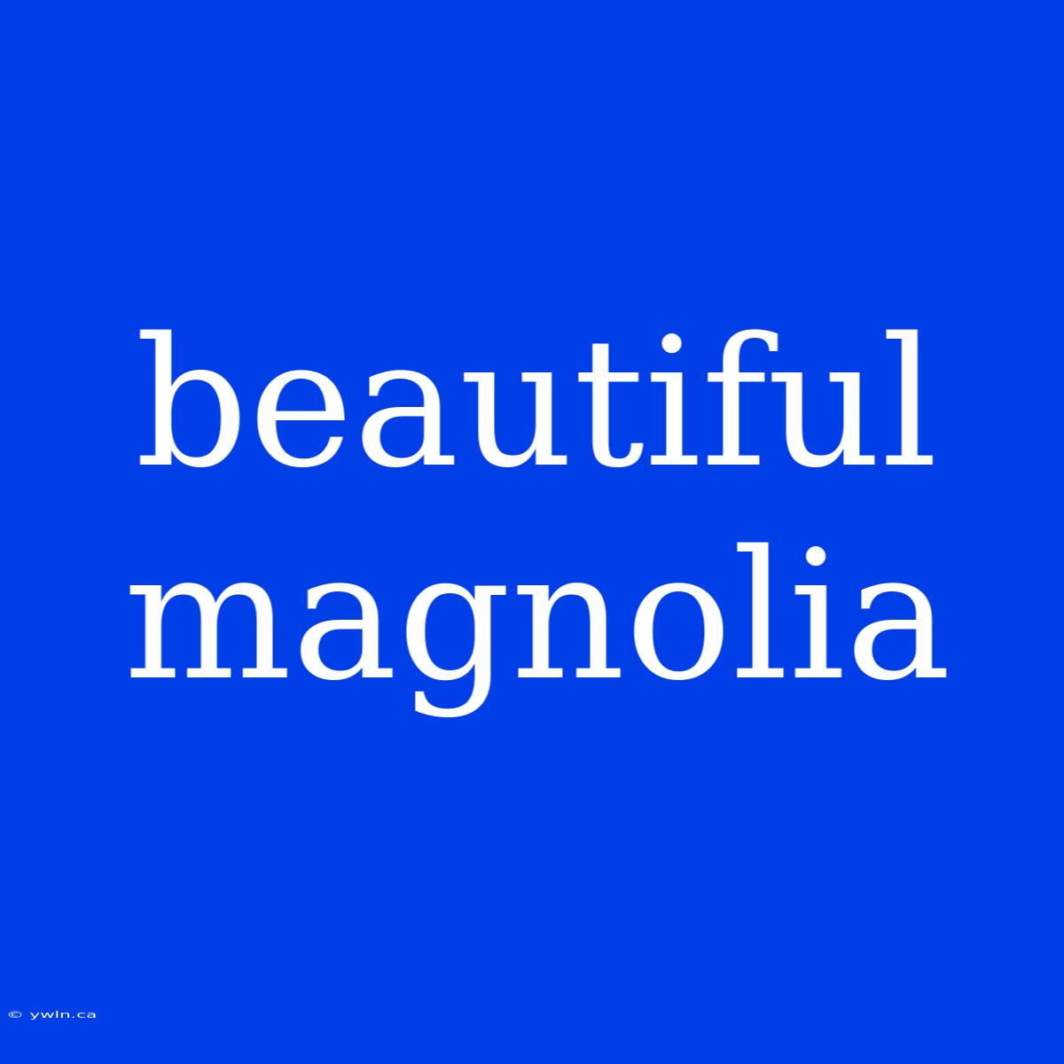 Beautiful Magnolia