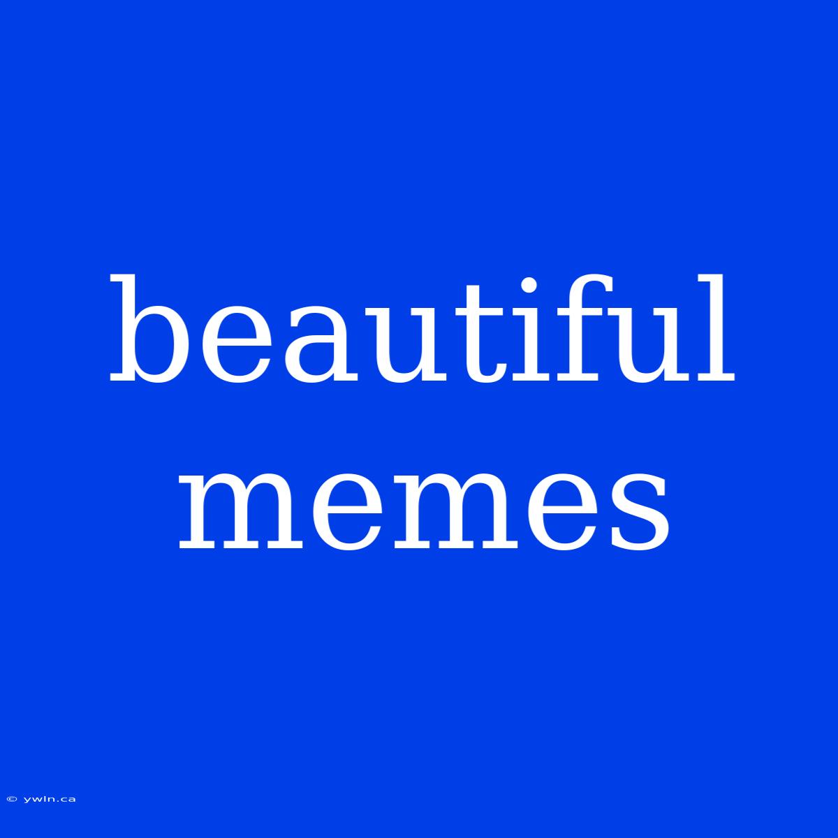 Beautiful Memes