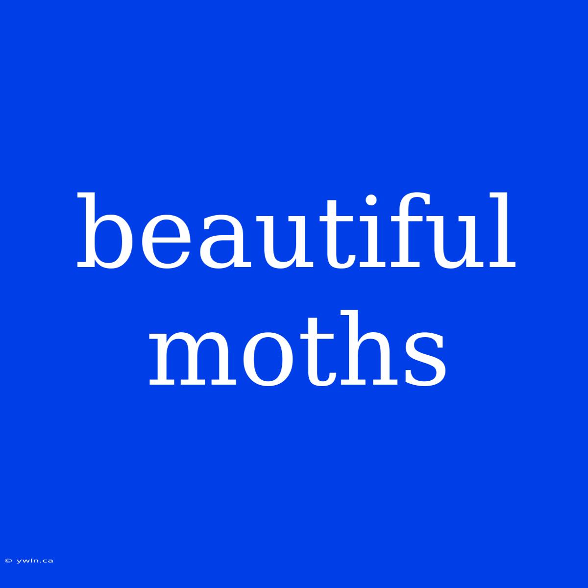 Beautiful Moths