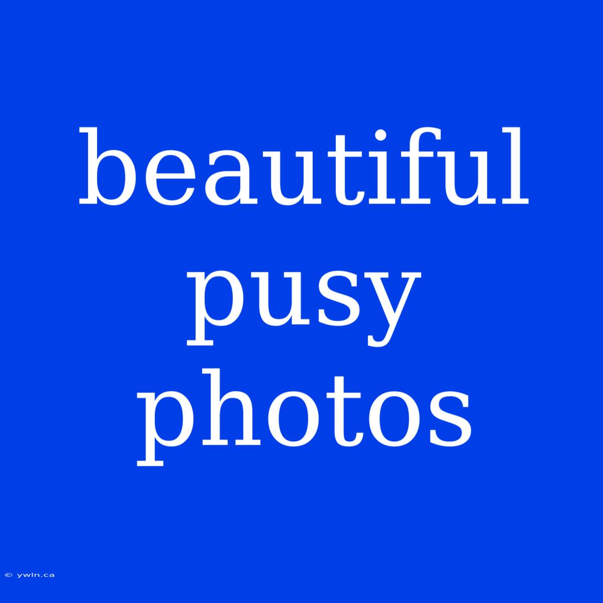 Beautiful Pusy Photos