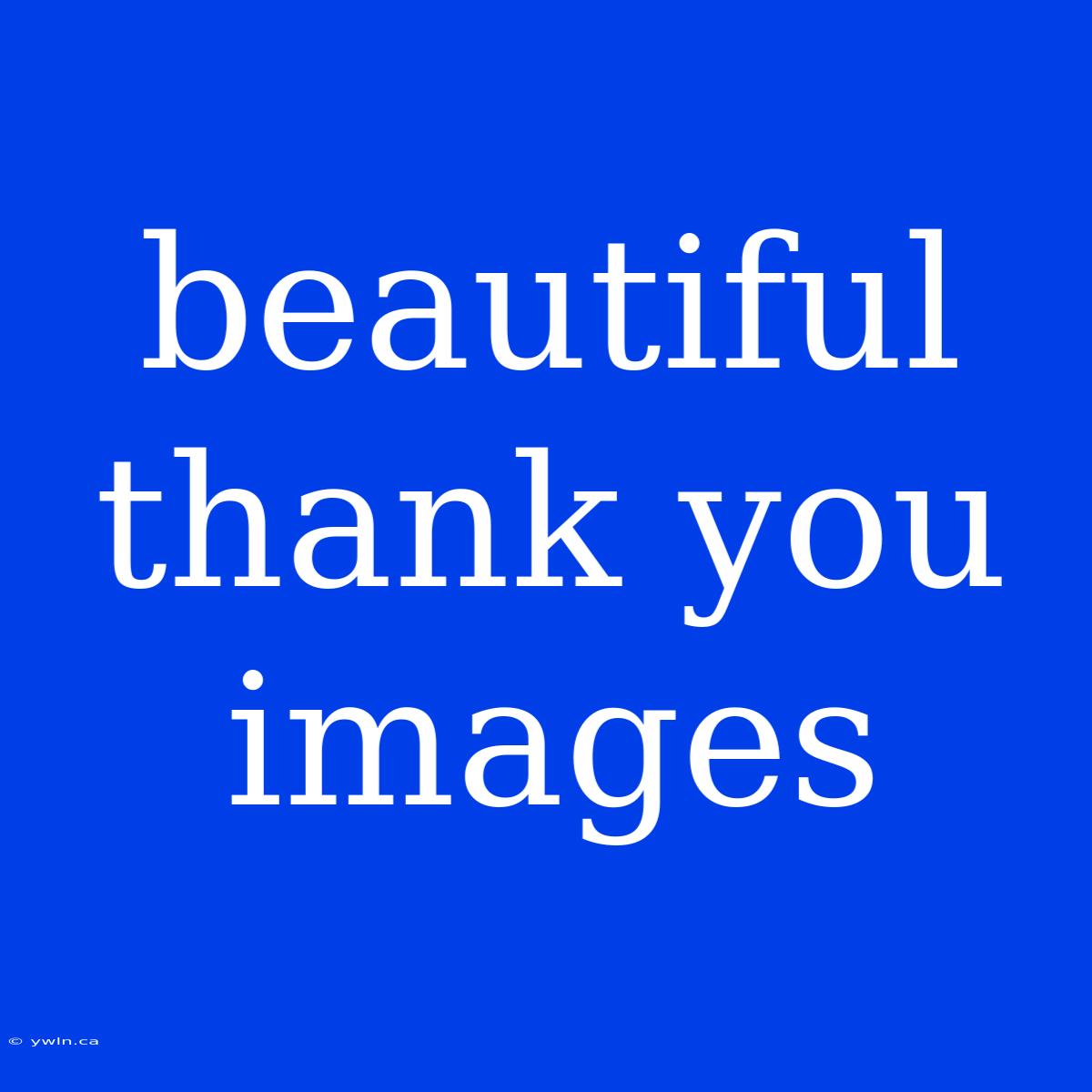 Beautiful Thank You Images