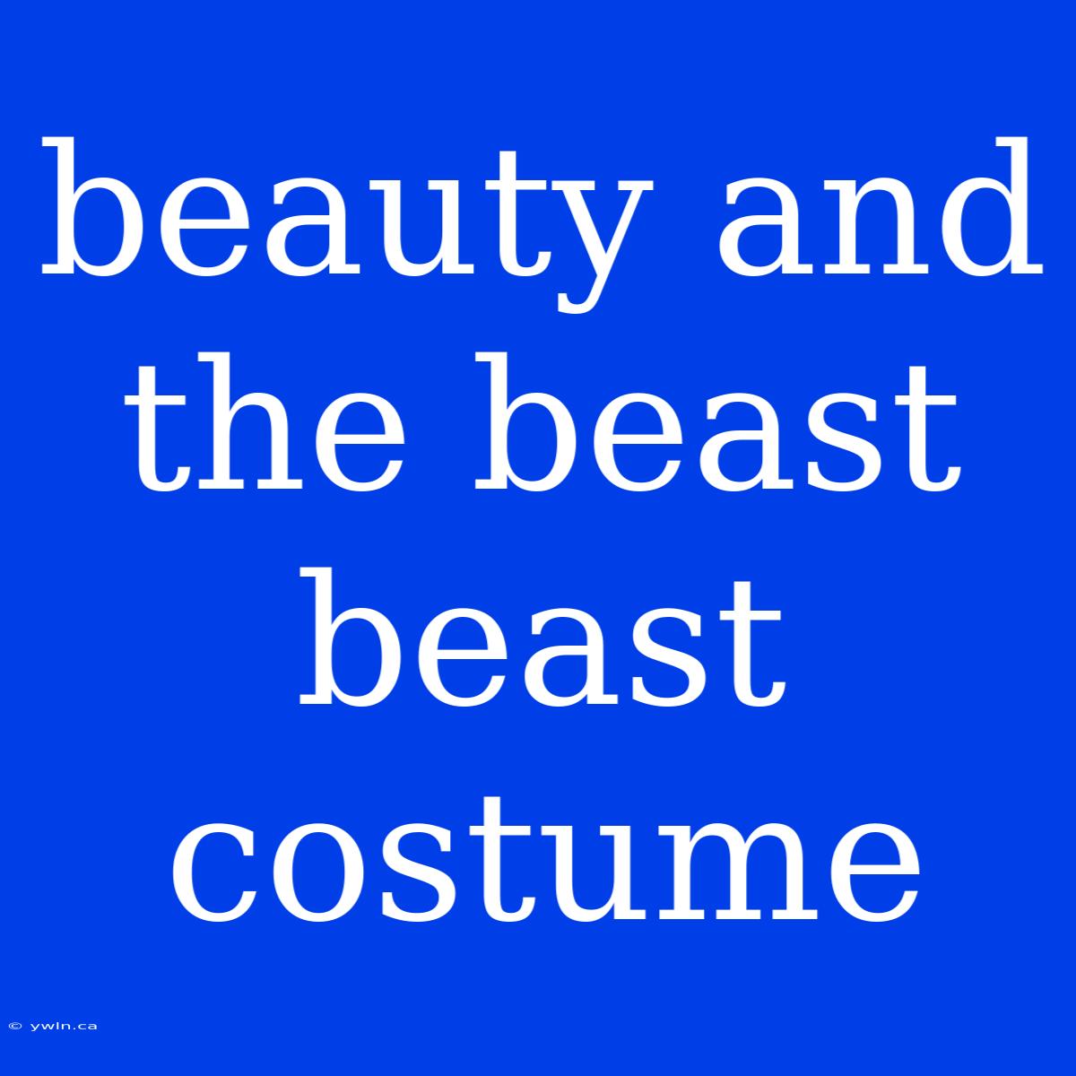 Beauty And The Beast Beast Costume