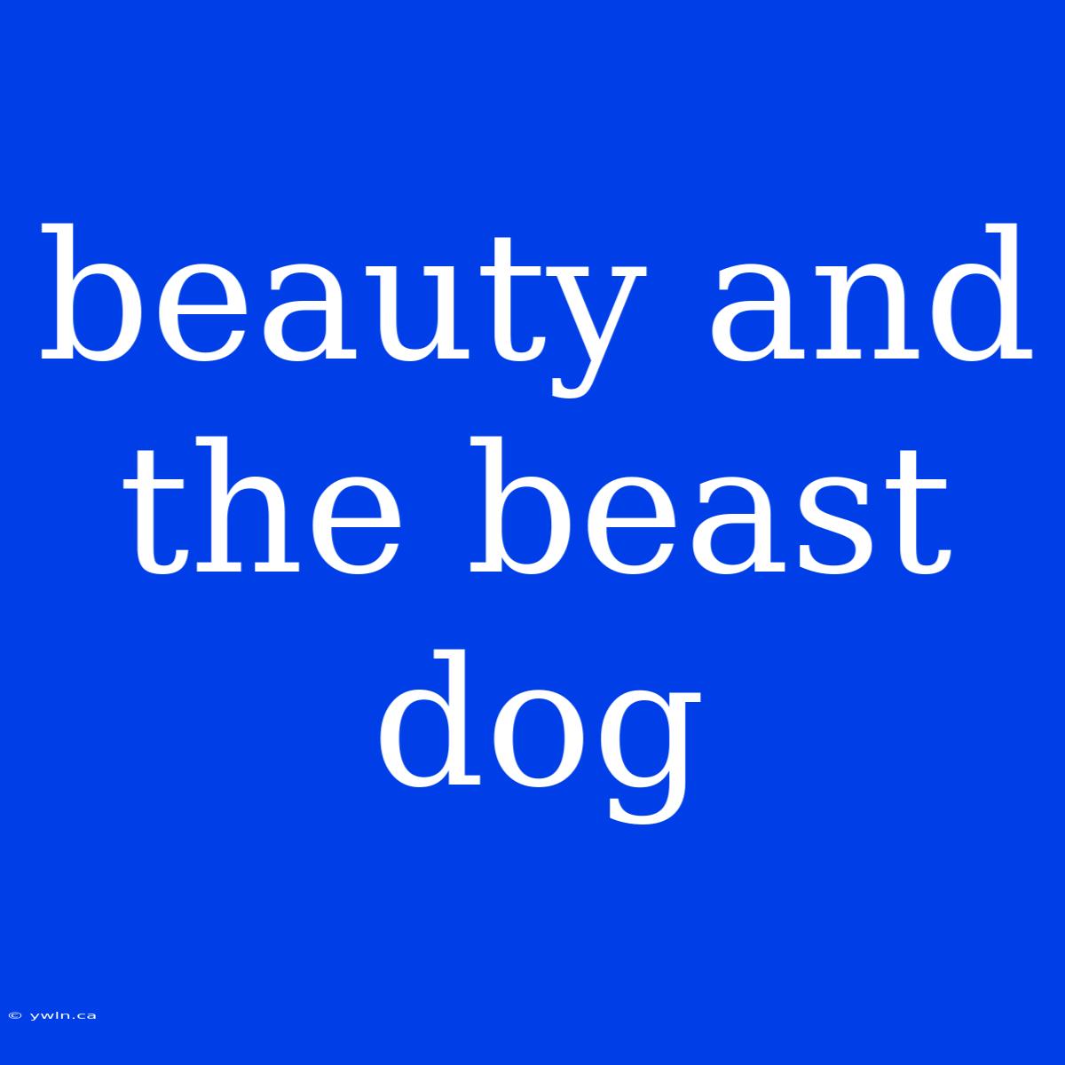 Beauty And The Beast Dog