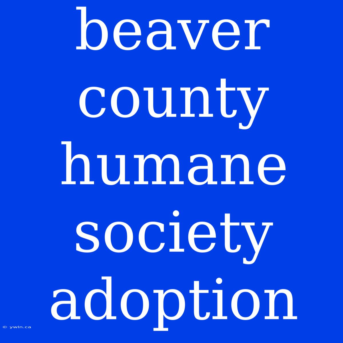 Beaver County Humane Society Adoption