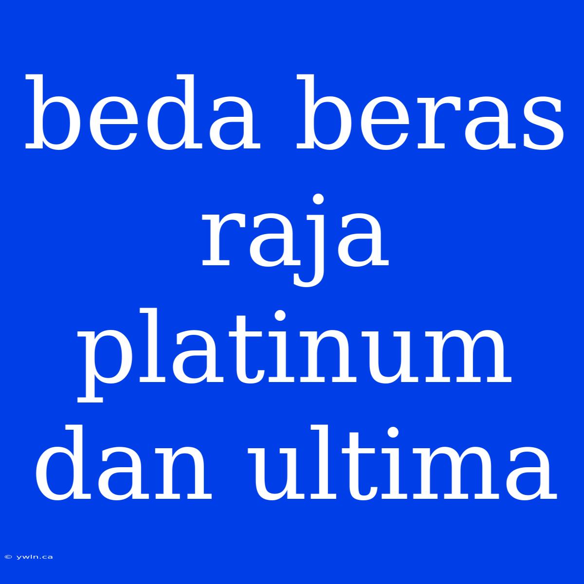 Beda Beras Raja Platinum Dan Ultima