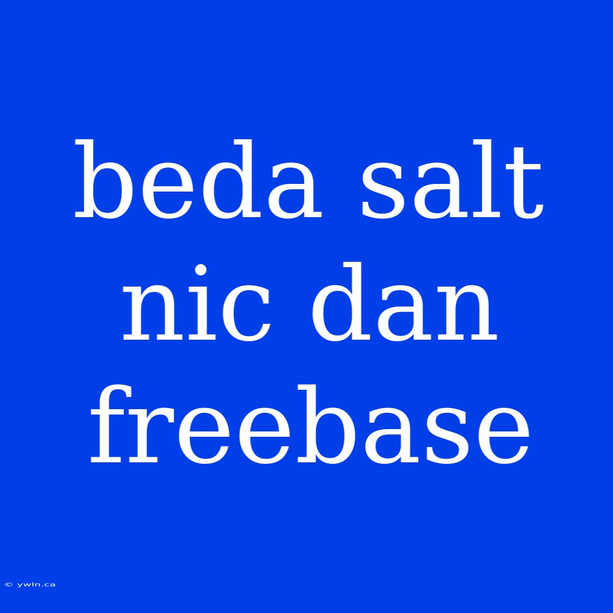 Beda Salt Nic Dan Freebase