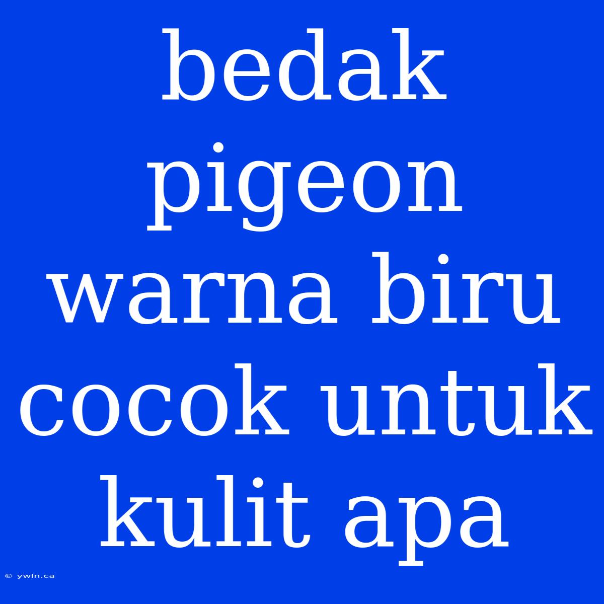 Bedak Pigeon Warna Biru Cocok Untuk Kulit Apa