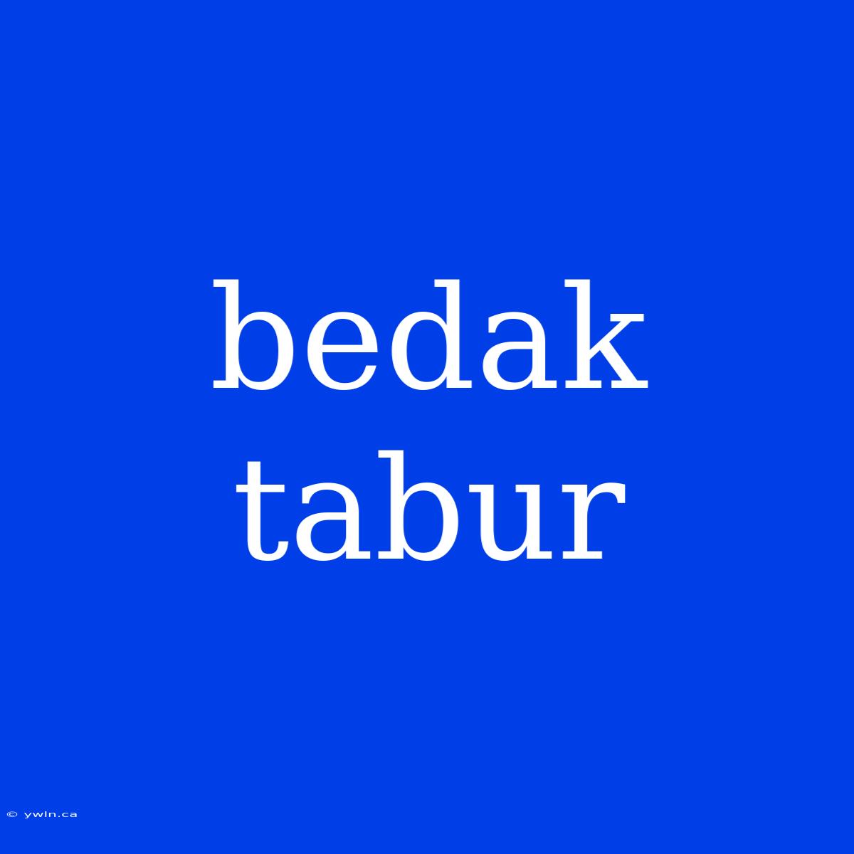 Bedak Tabur